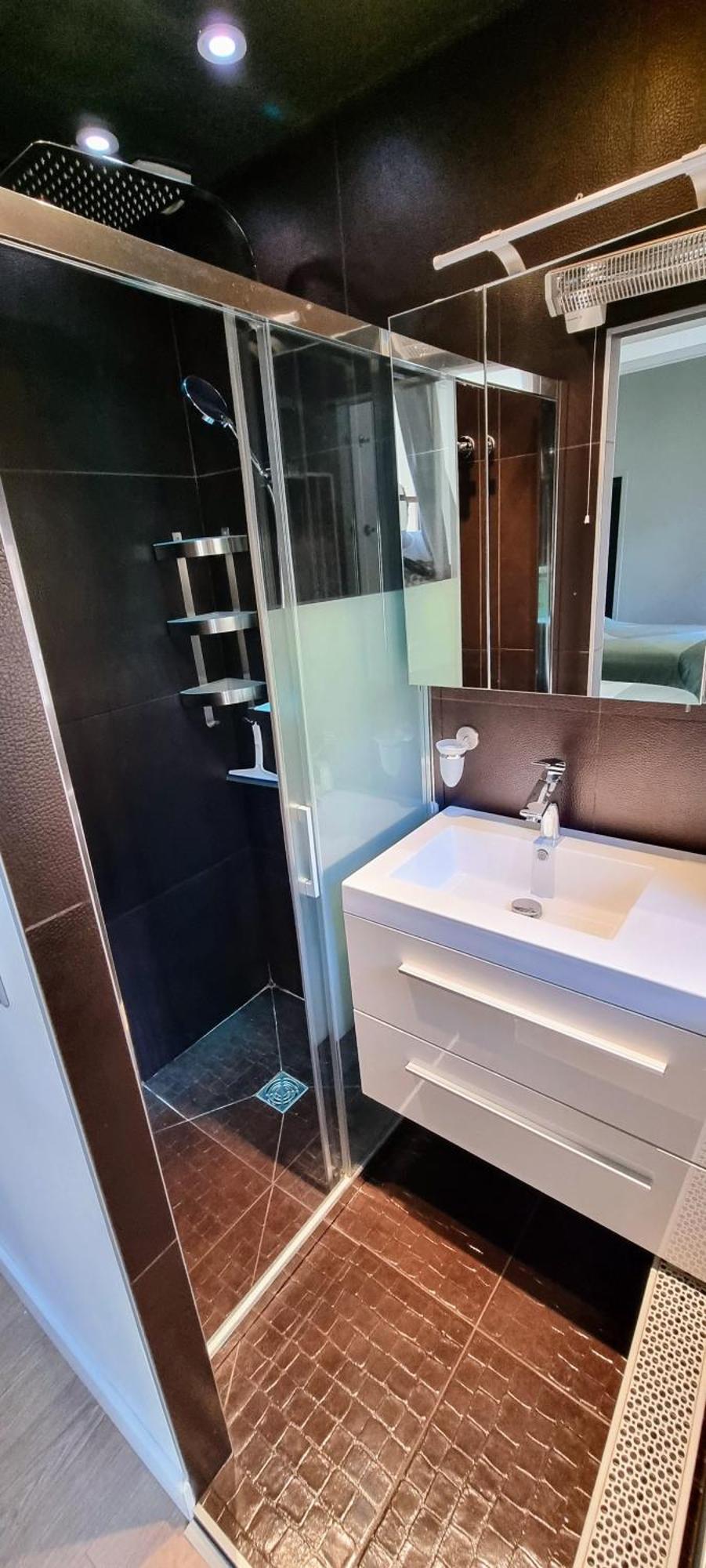 Appartement De Charme Au Coeur De La Vieille Ville آنسي المظهر الخارجي الصورة