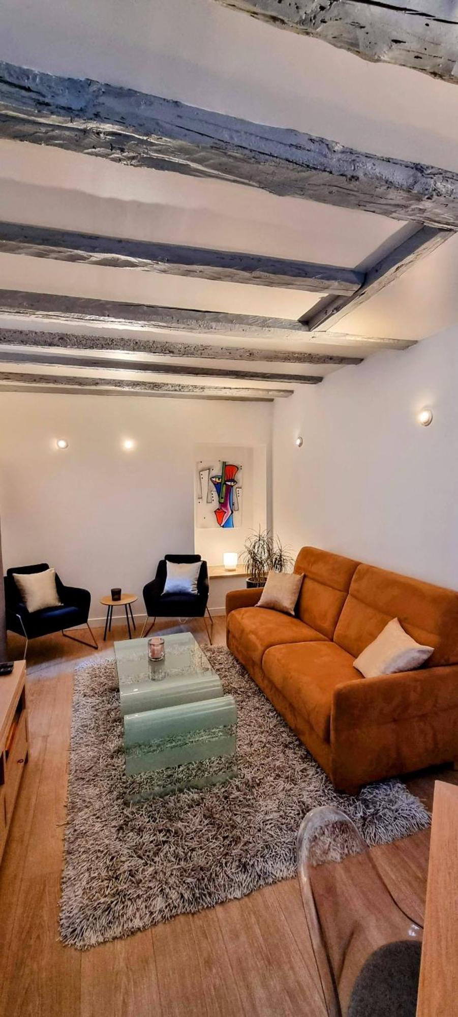 Appartement De Charme Au Coeur De La Vieille Ville آنسي المظهر الخارجي الصورة