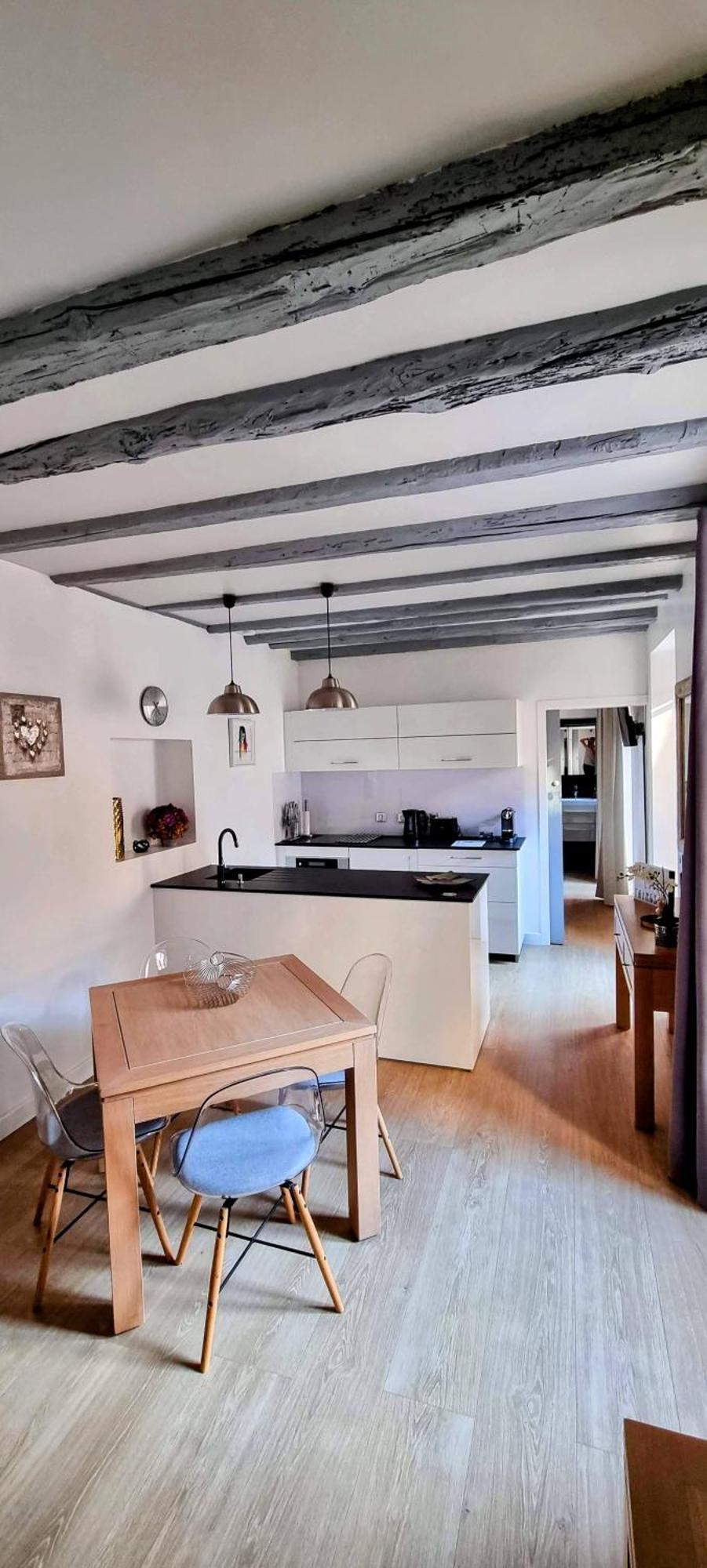 Appartement De Charme Au Coeur De La Vieille Ville آنسي المظهر الخارجي الصورة